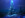 Snowtree2